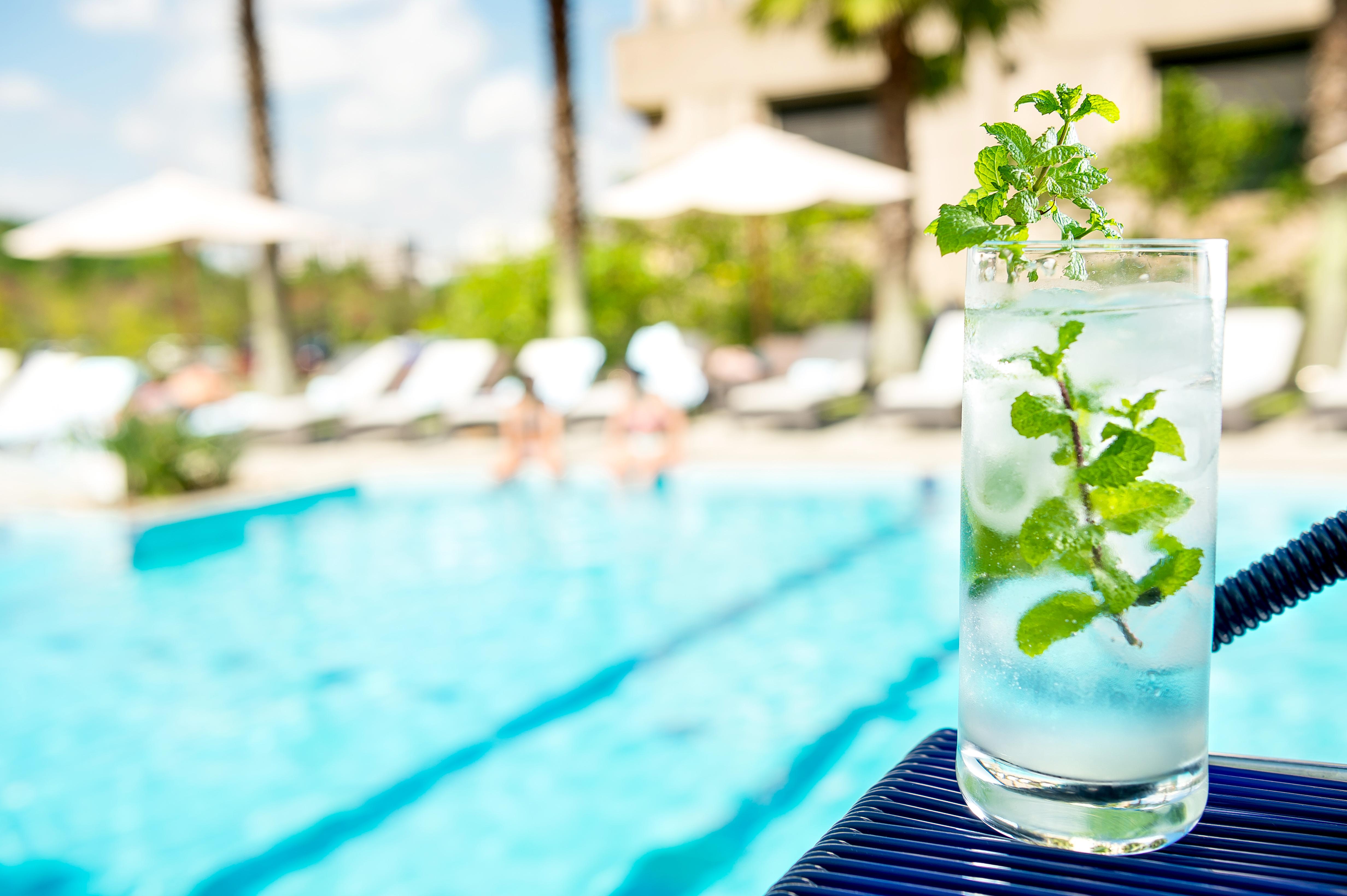 Pullman Sao Paulo Guarulhos Airport Hotell Eksteriør bilde A glass of water with mint leaves